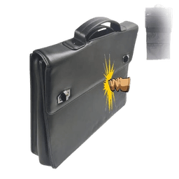 briefcase-picture